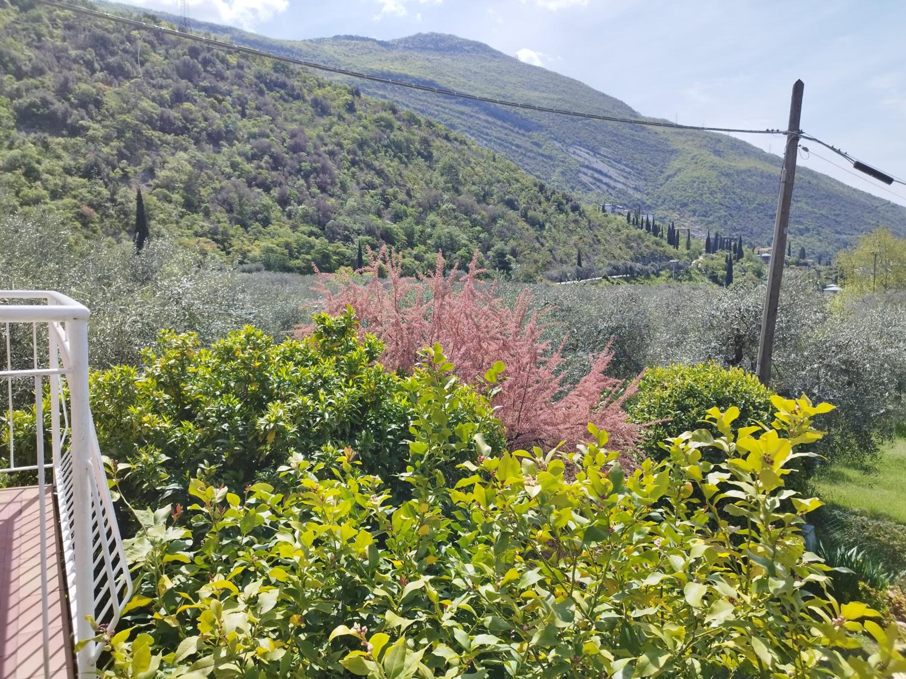 other