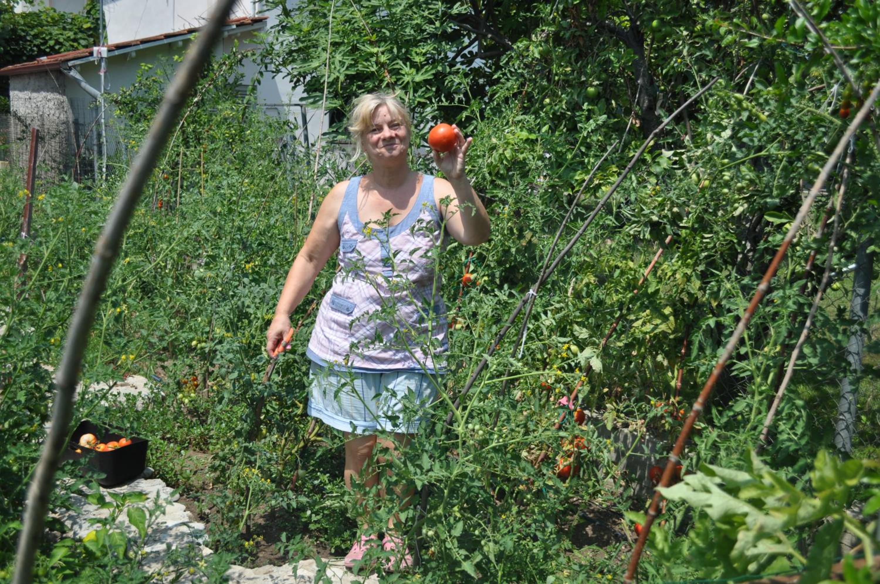 Fofi's garden