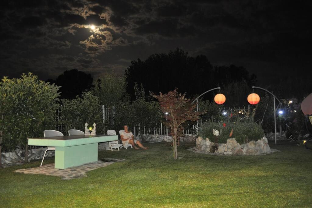 Fofi's garden