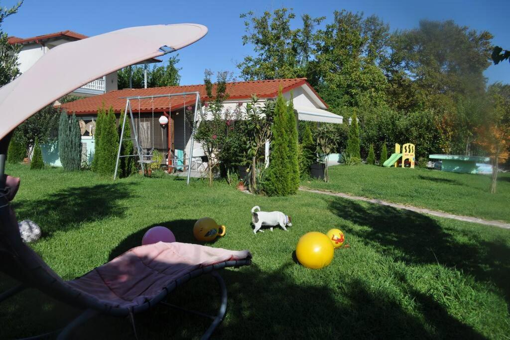 Fofi's garden