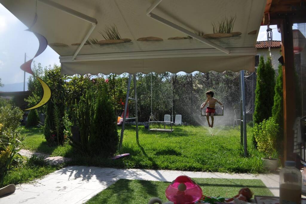 Fofi's garden