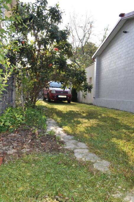 Fofi's garden