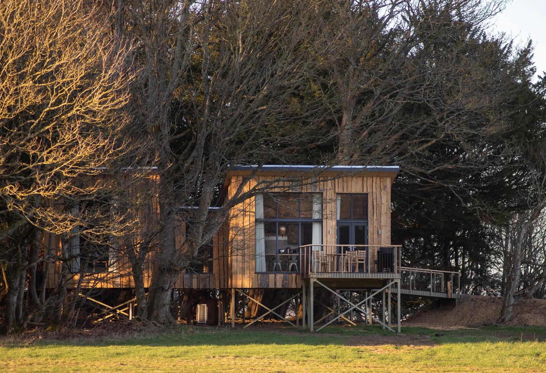 Chiffchaff Treehouse