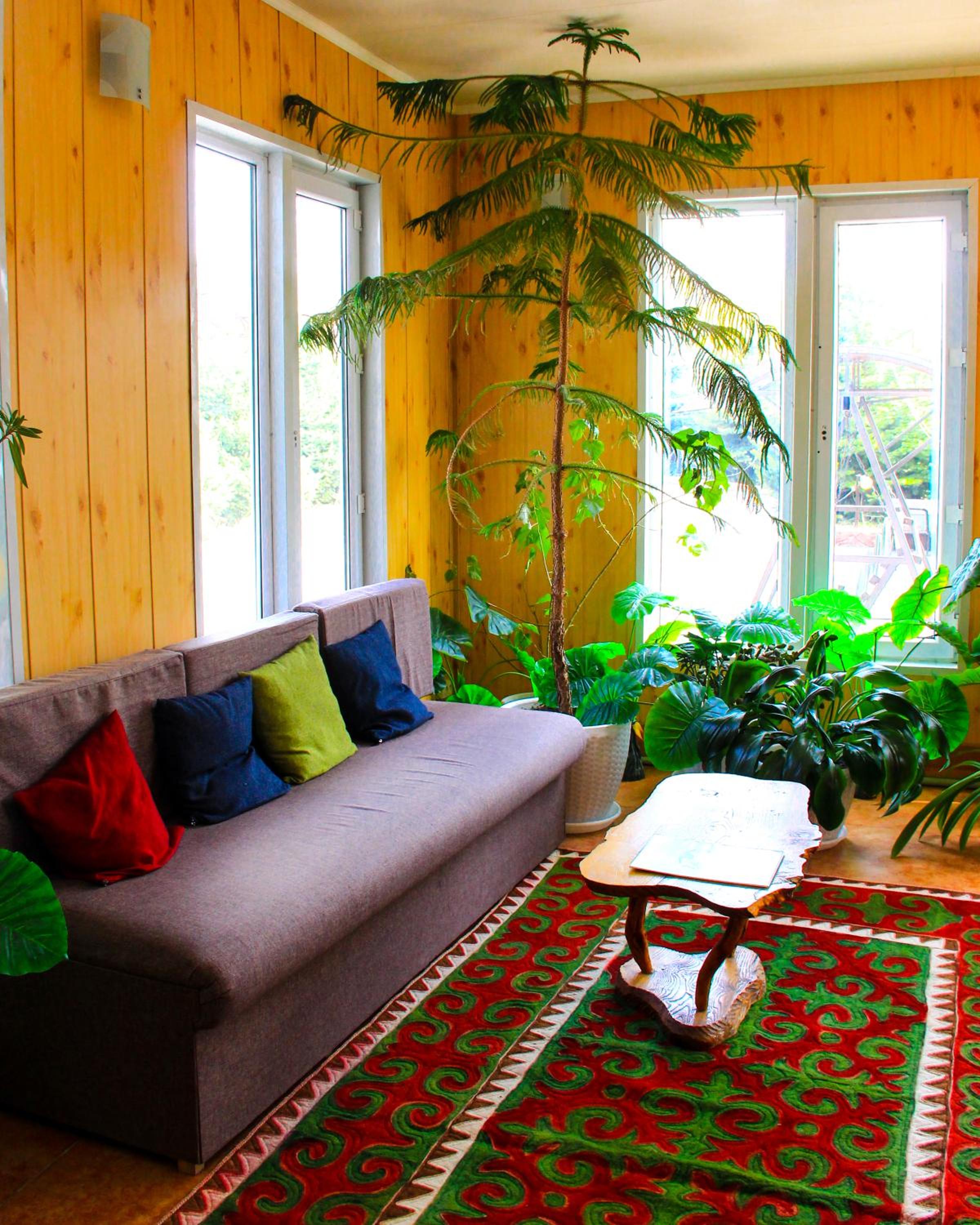 Sanjyra hostel