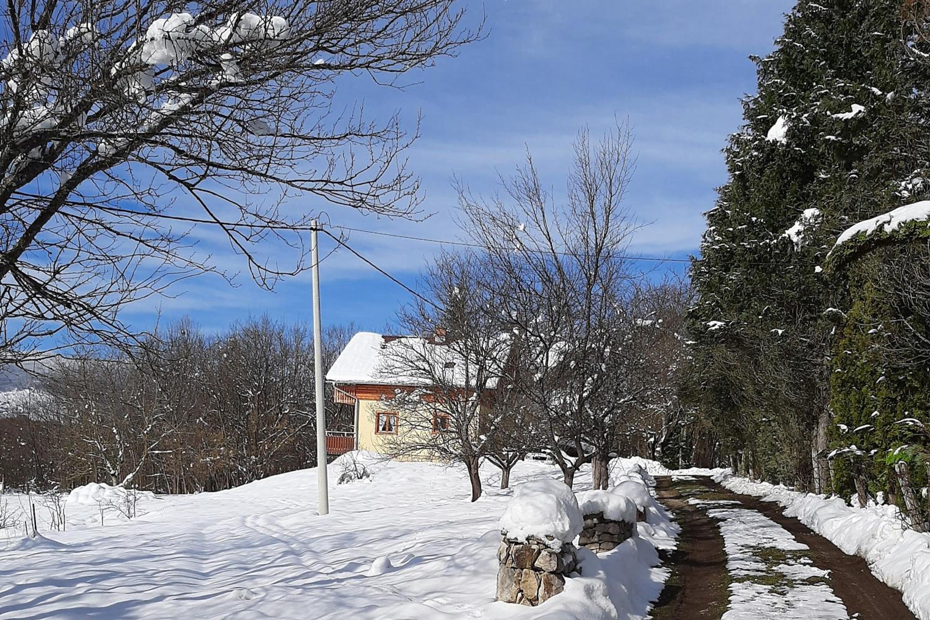 Photo 38