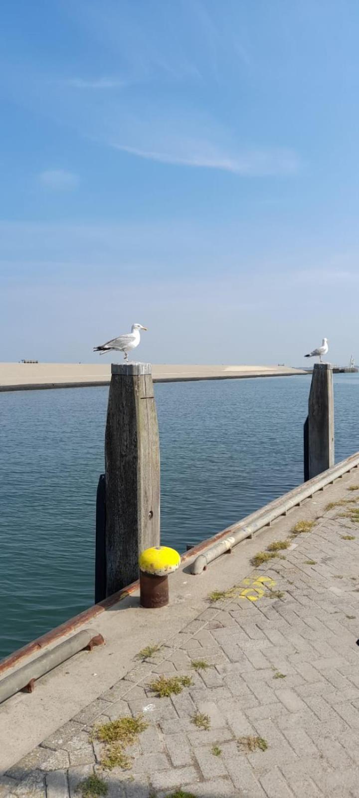 Photo 47