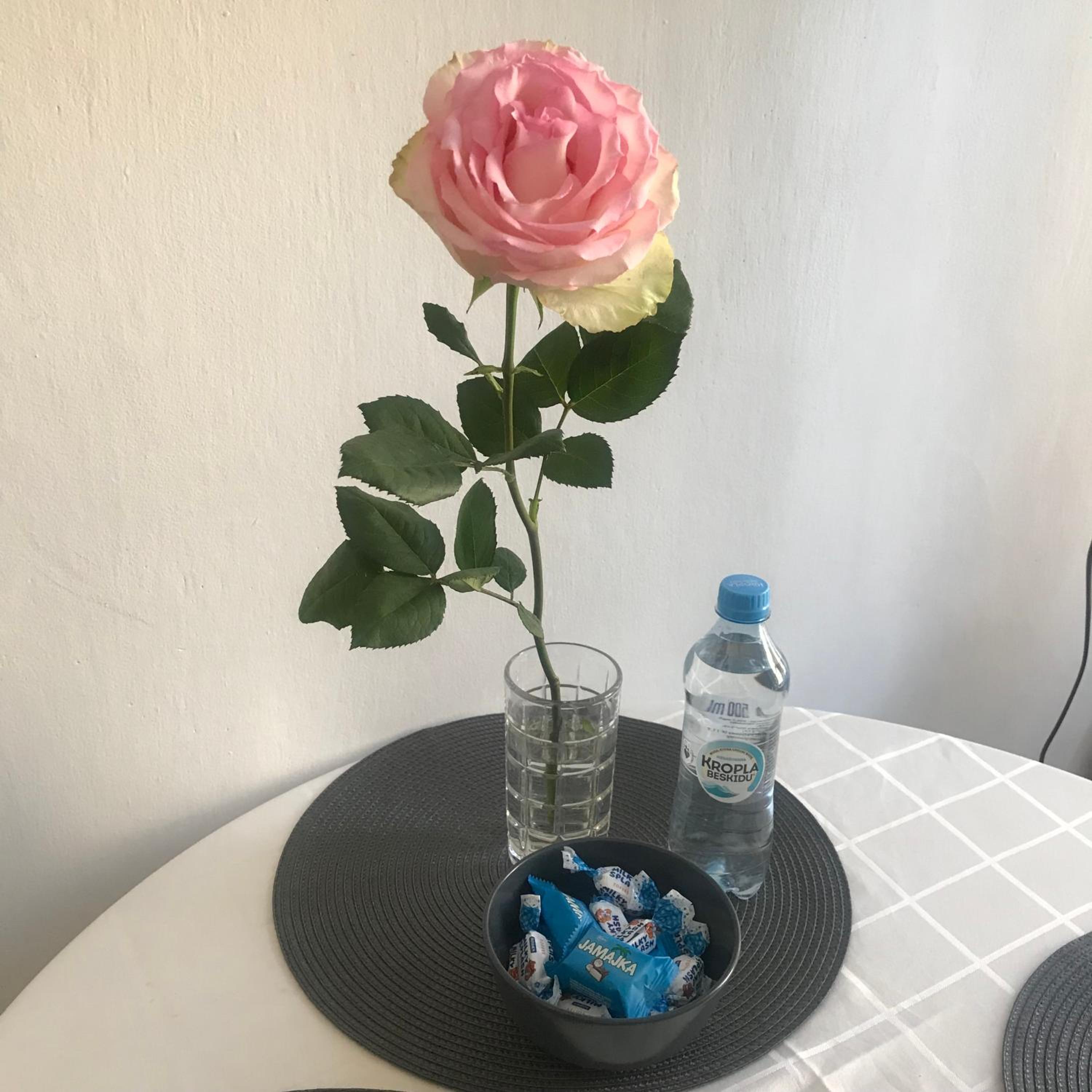 Apartament Warecka