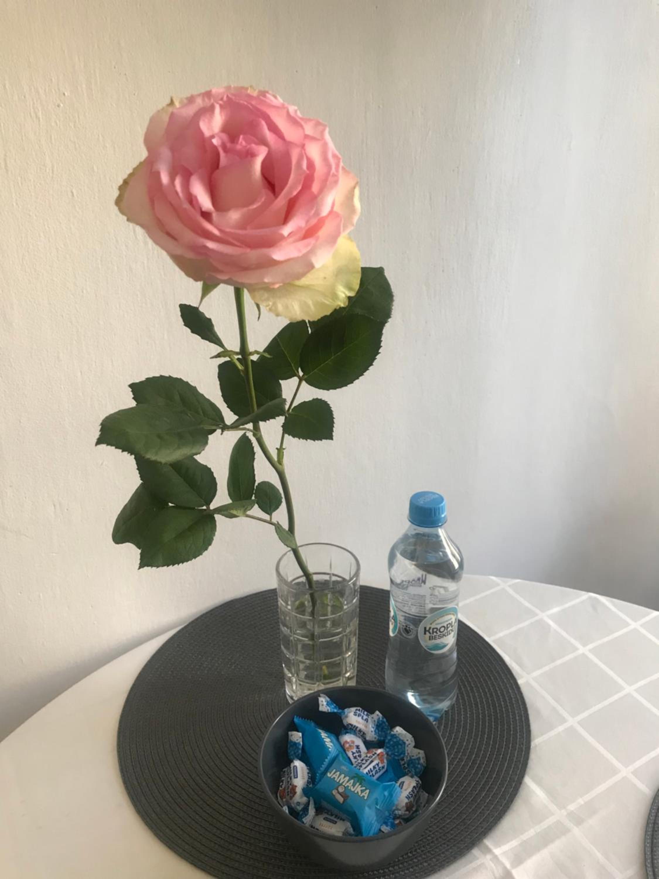Apartament Warecka