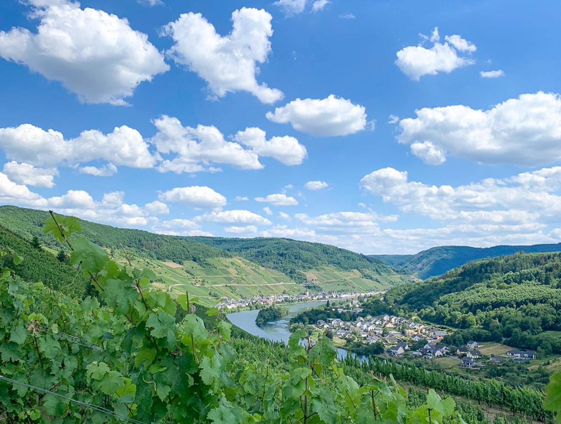 Haus in Spay an der Mosel mit Sauna