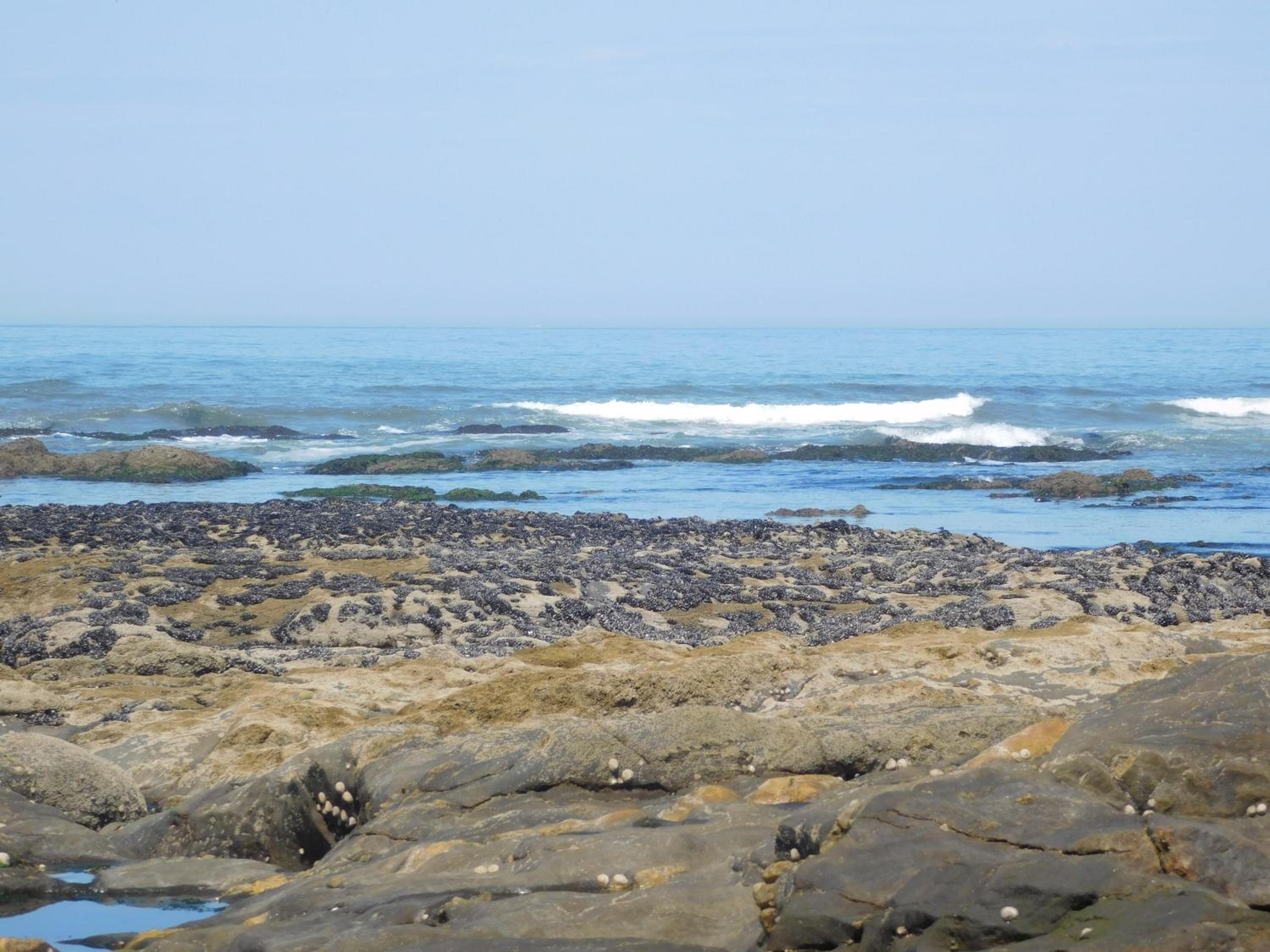 Photo 36