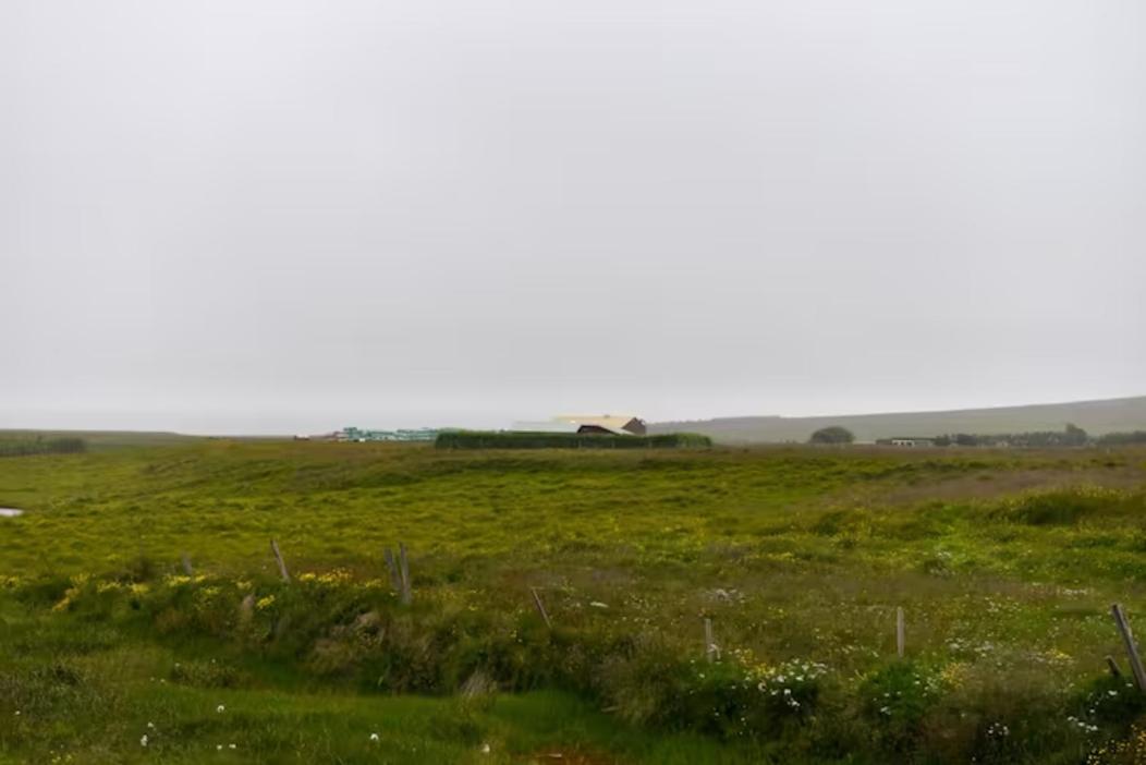 Laxás Cottage view 5