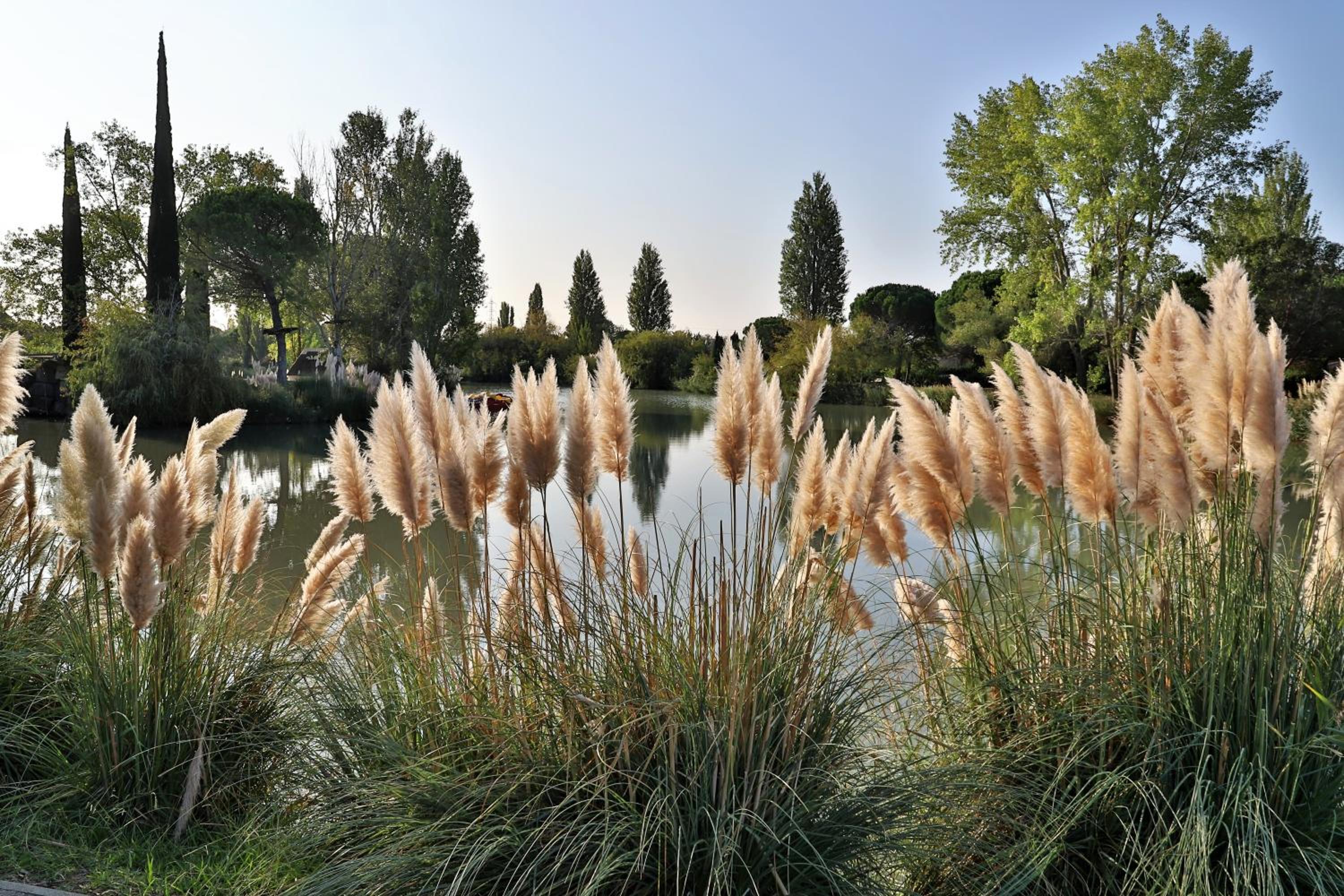 Arles Vacations - SOWELL HOTELS L'Olivier - Property Image 3