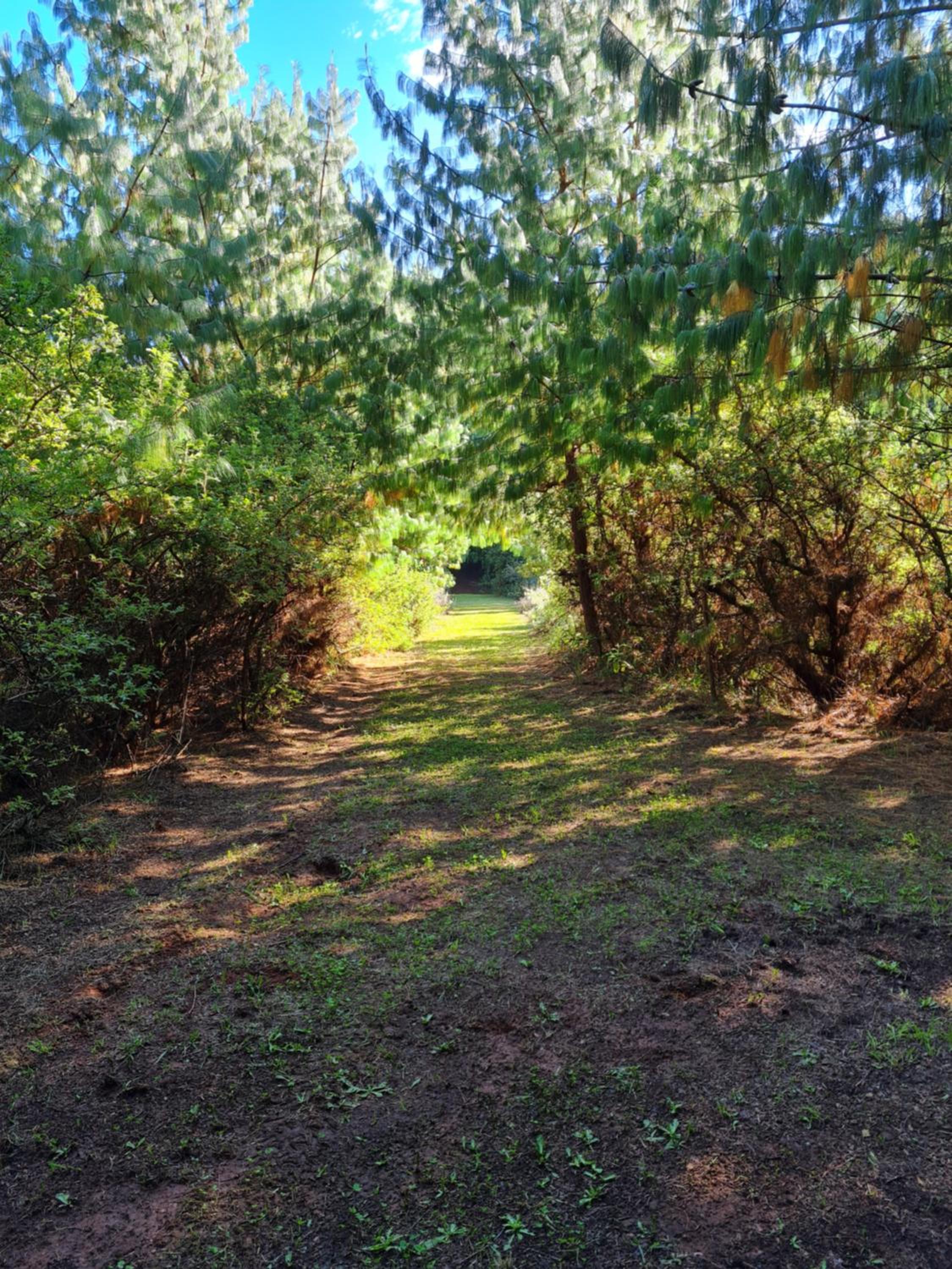 Photo 25