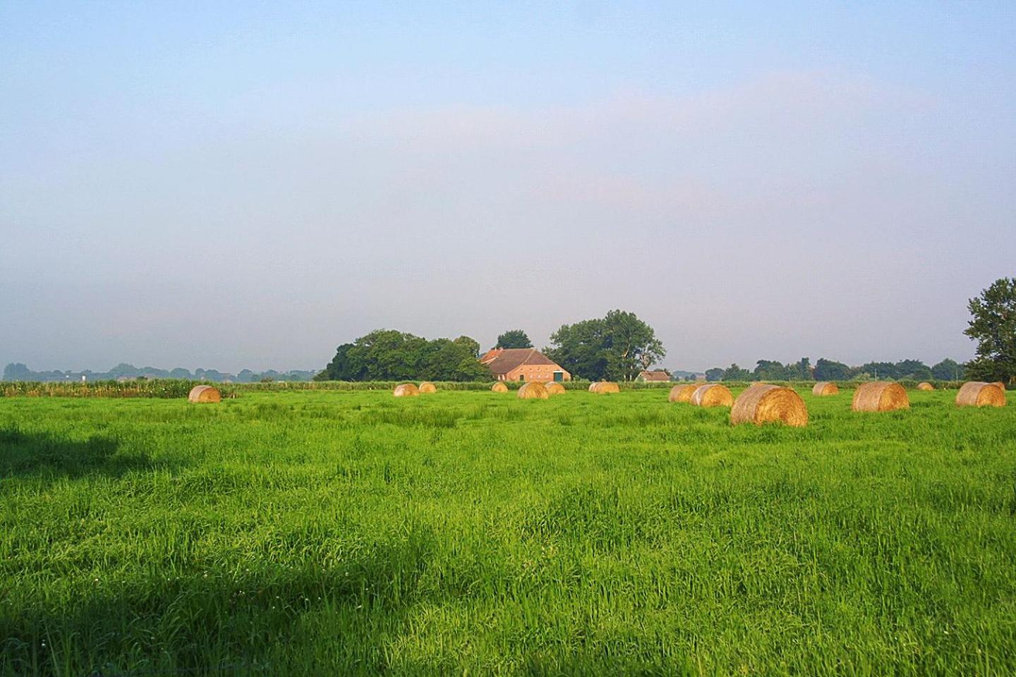 Ferienwohnungen Haus Westwind