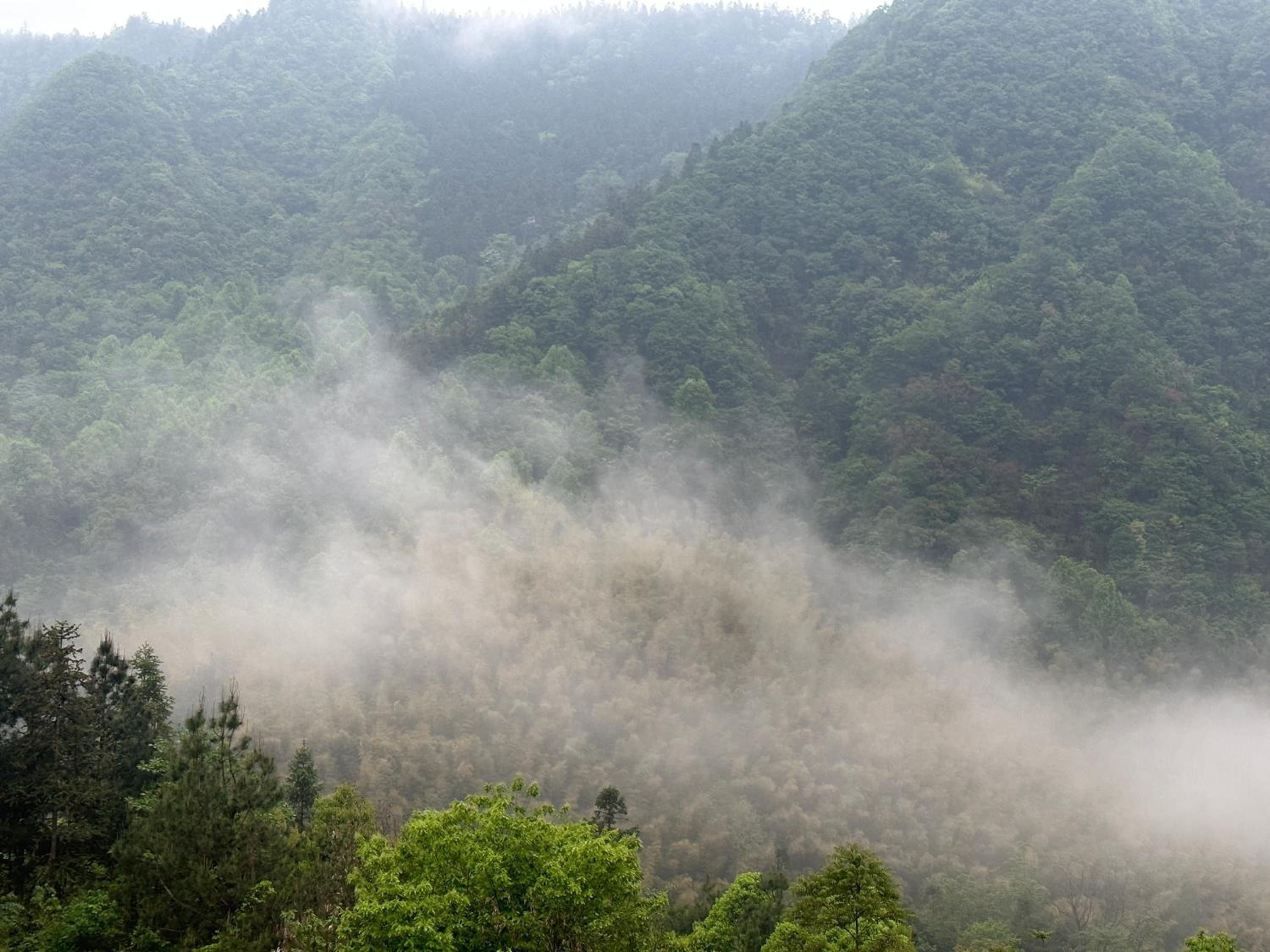 Zhangjiajie National Park Nvue Resorts