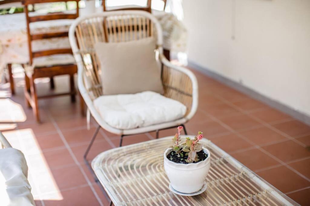 The Pine Grove Villa