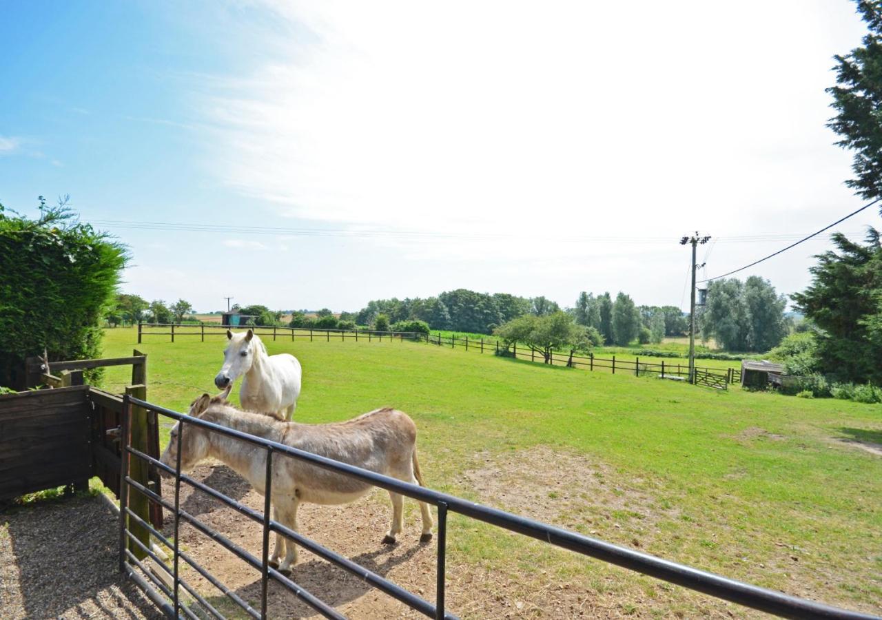 1 Bed in Acle oc-1256