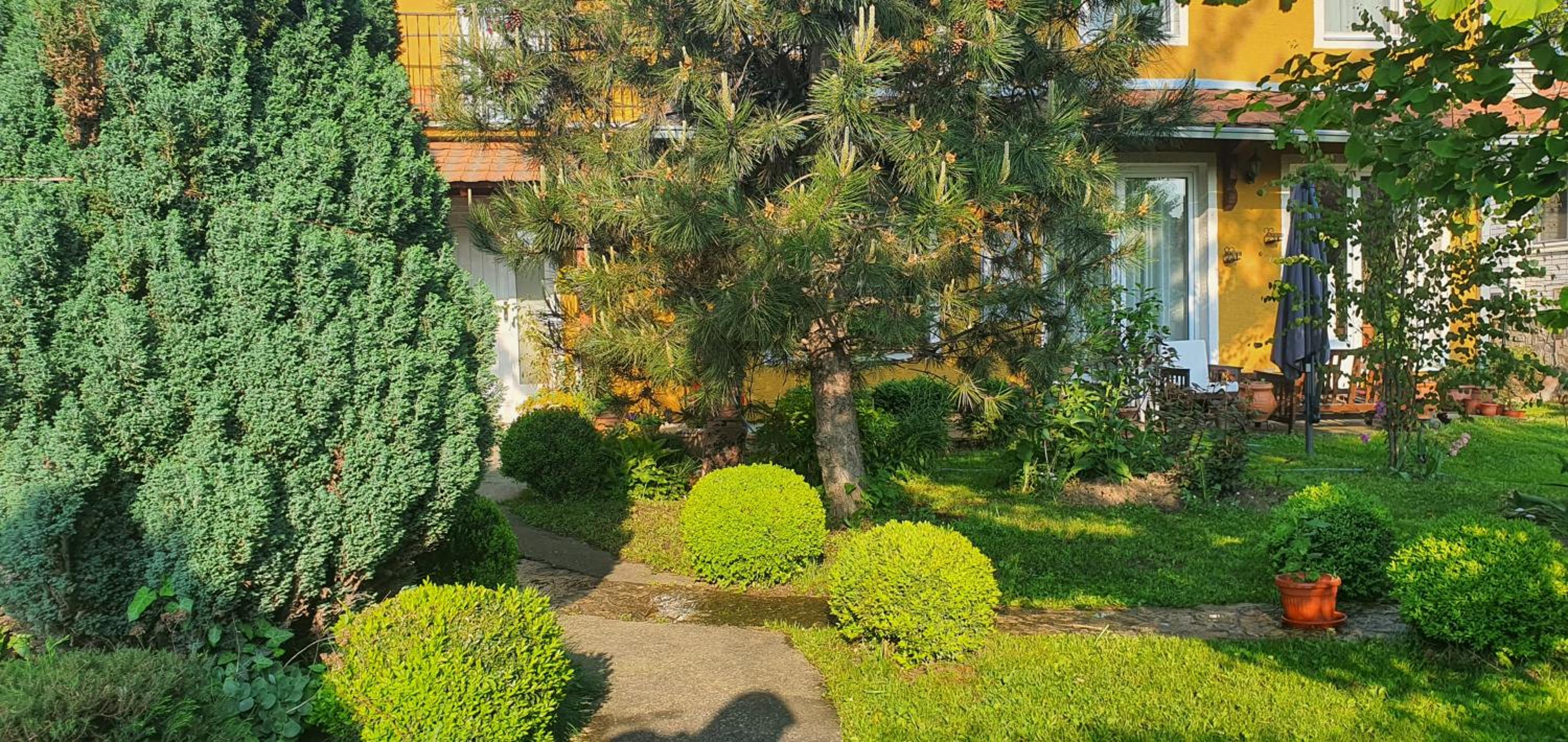 Aerport - Natura Apartment view 2