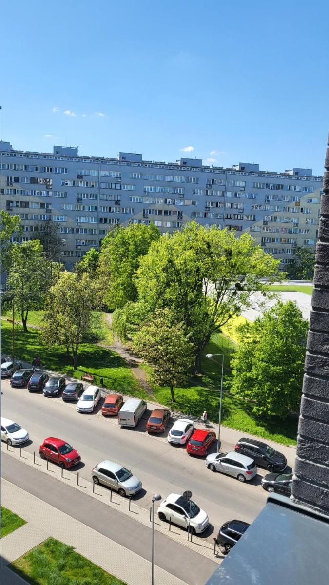 Apartament Near Sky Tower view 5