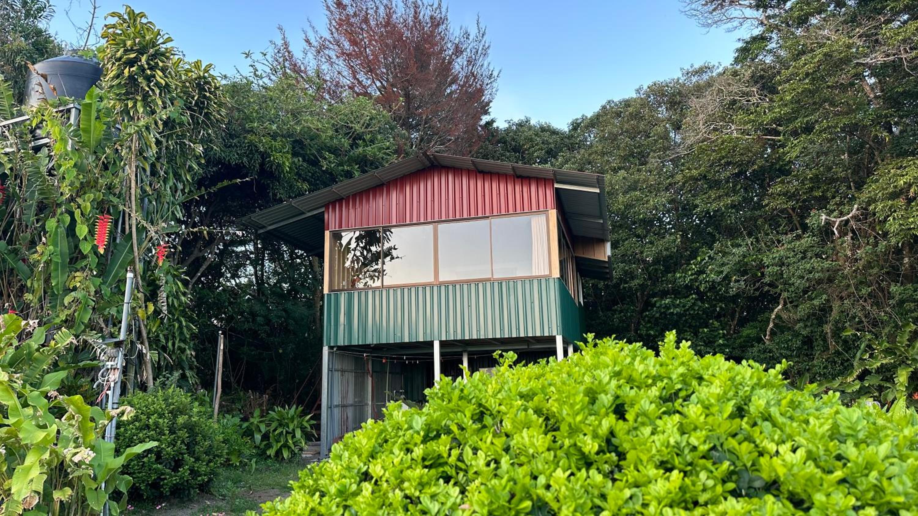 Campo Azul #3 - Monteverde
