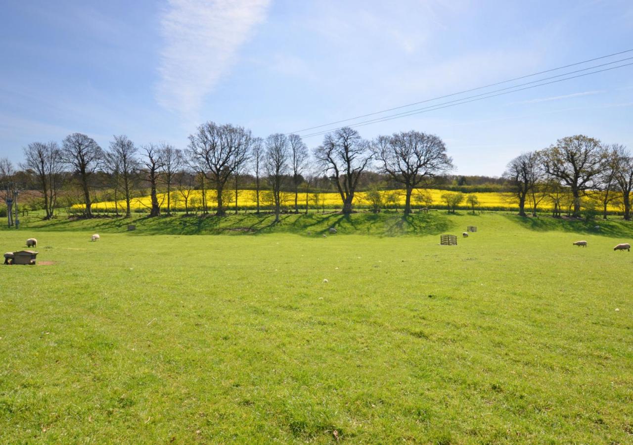 3 Bed in Dereham oc-1208
