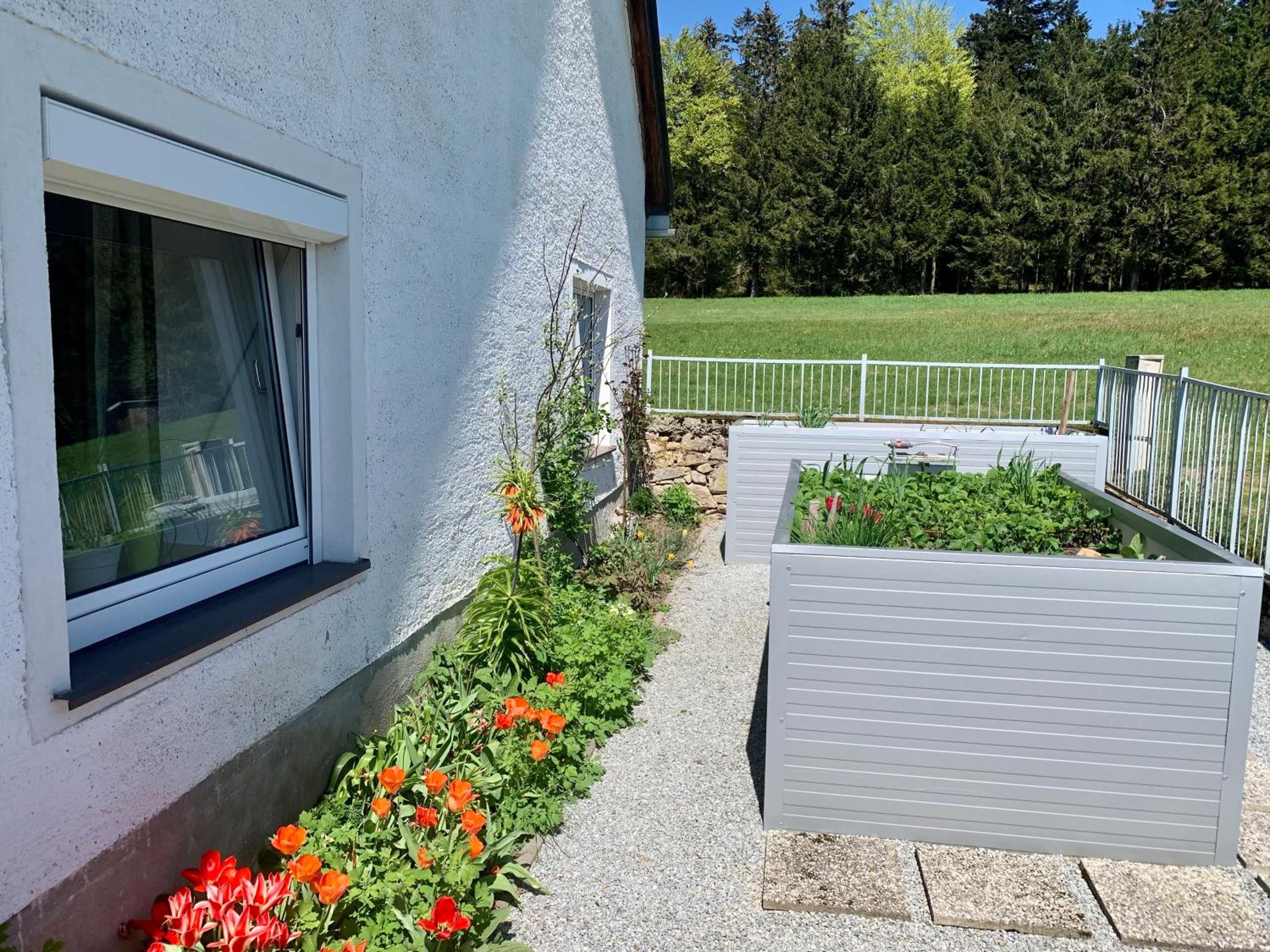 Ferienhaus Frieda