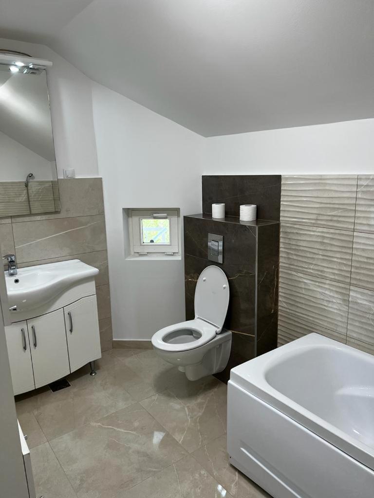 Casa Livezeni view 4