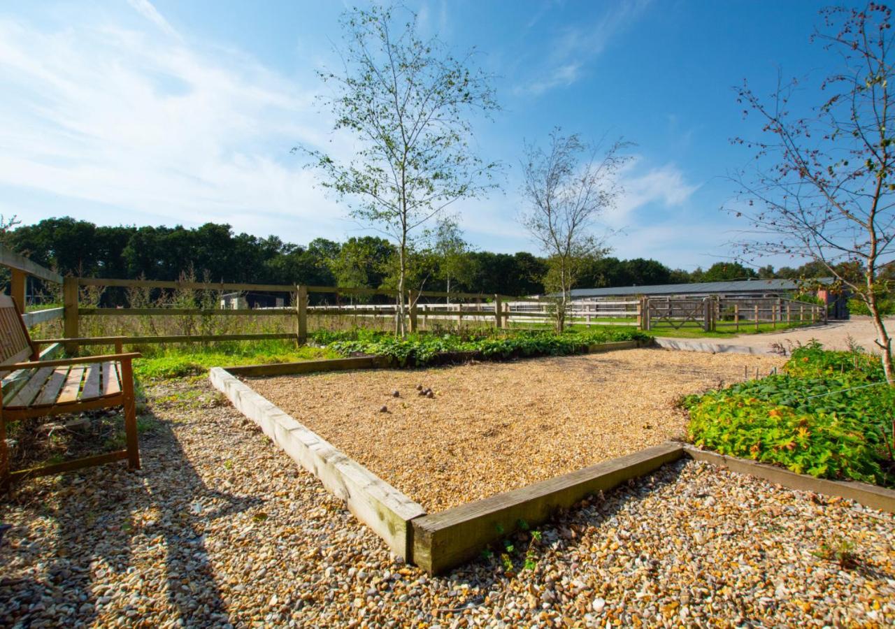 5 Bed in Briston oc-2005