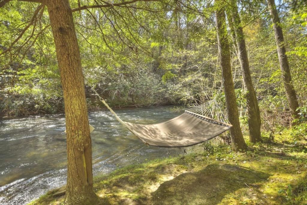 Trout Haven Cabin on Fightingtown Creek w FirePit view 2
