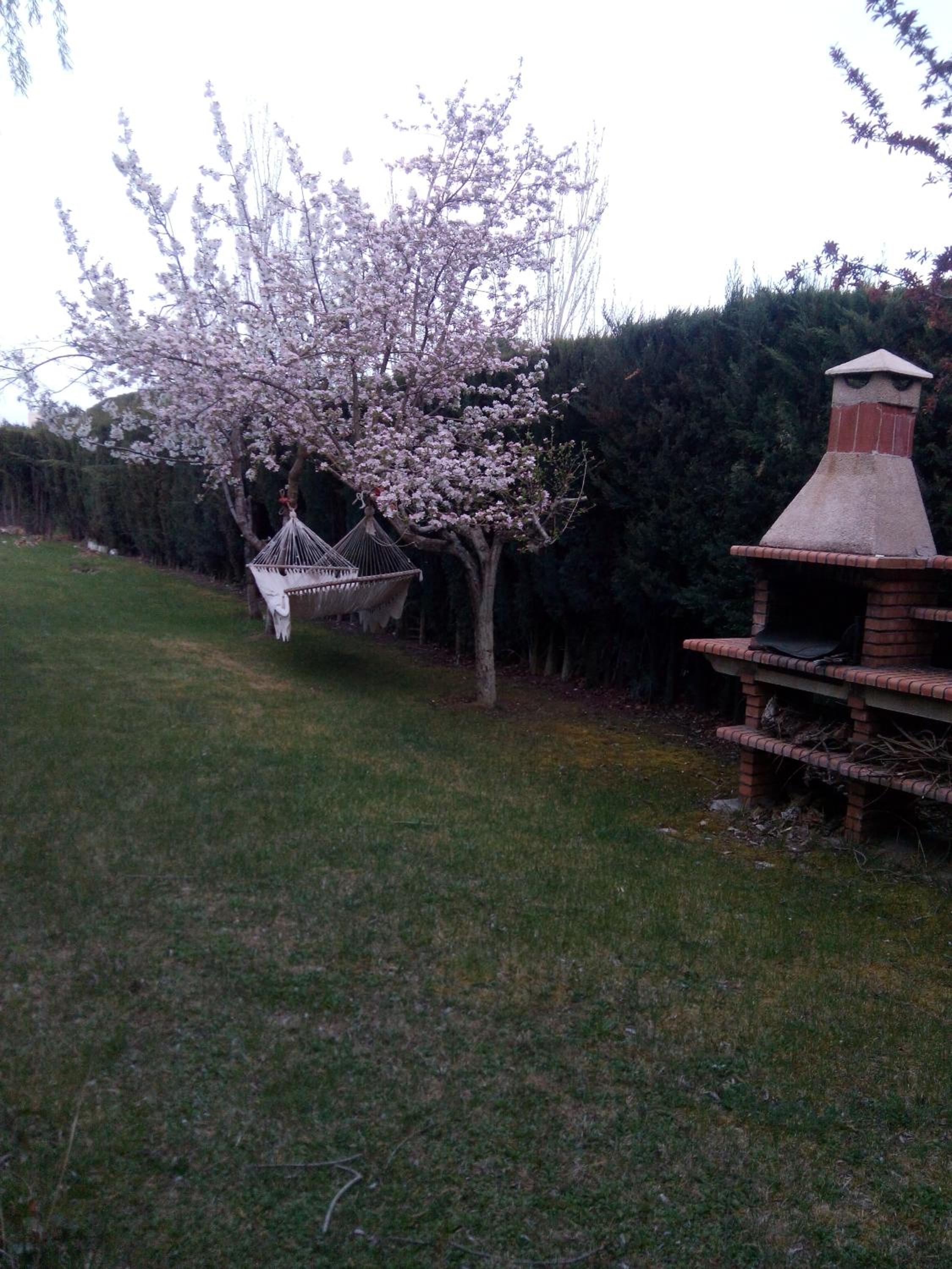 Photo 33