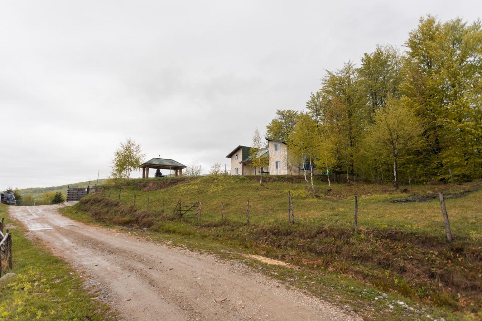 Photo 31