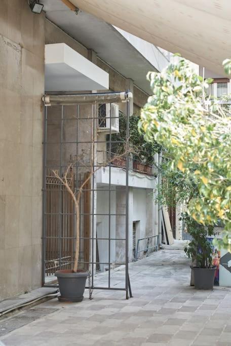 Bright Apt-Archeological Museum