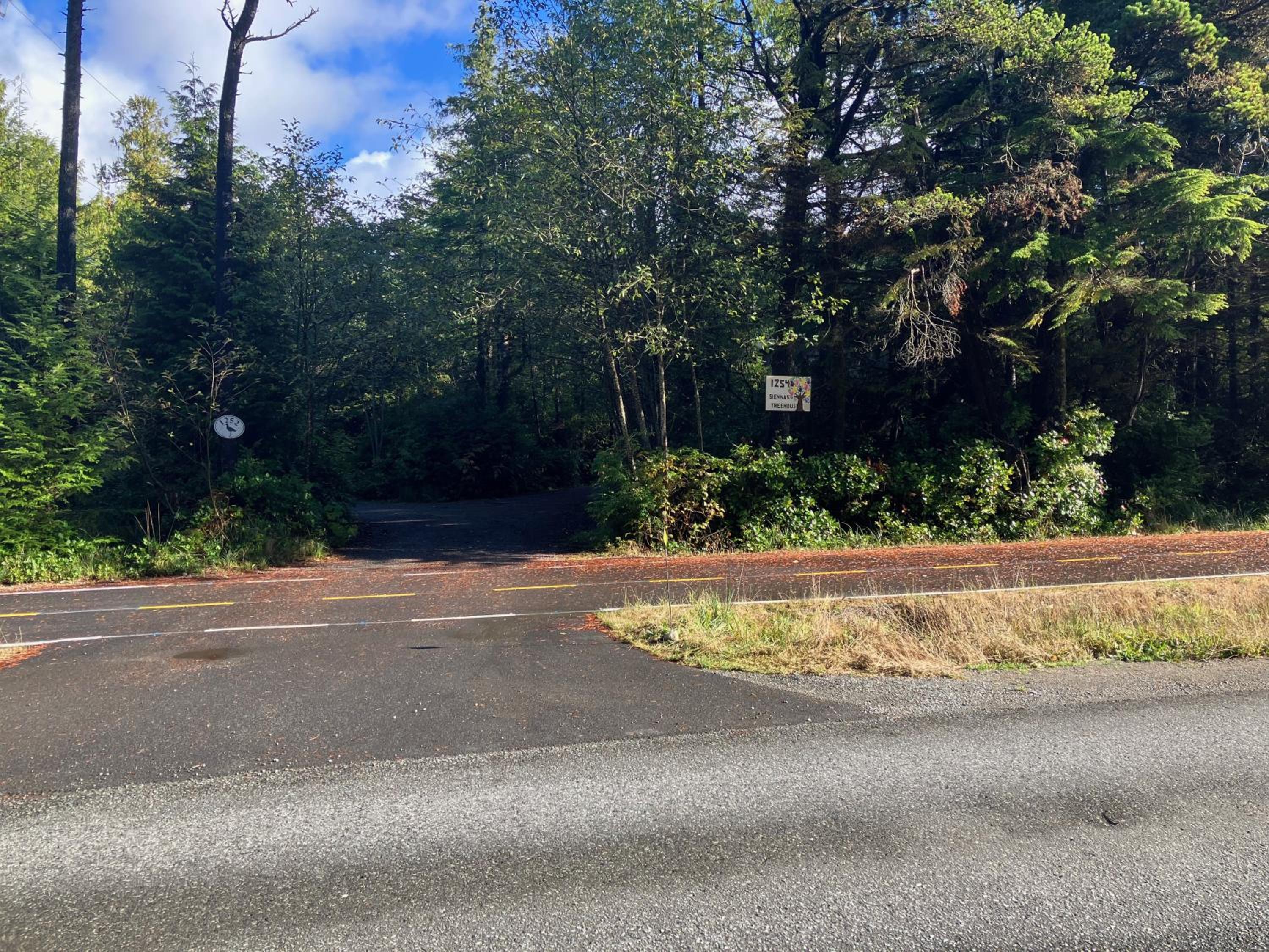 Tofino Vacations - Sienna's Tree House (Tall Trees And Salty Breeze) - Property Image 5