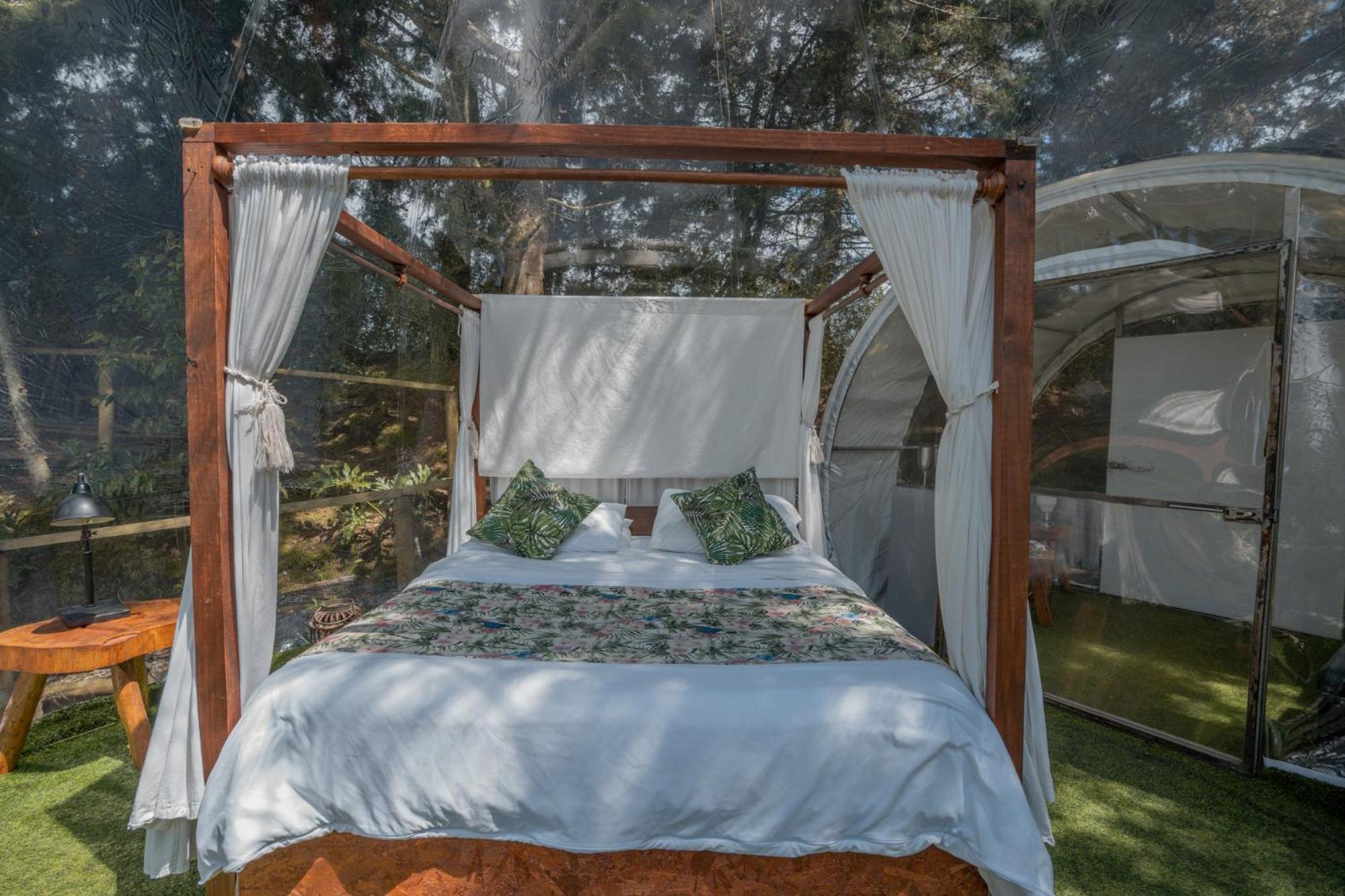 BubbleSky Glamping 40 min from Medellin - Property Image 13