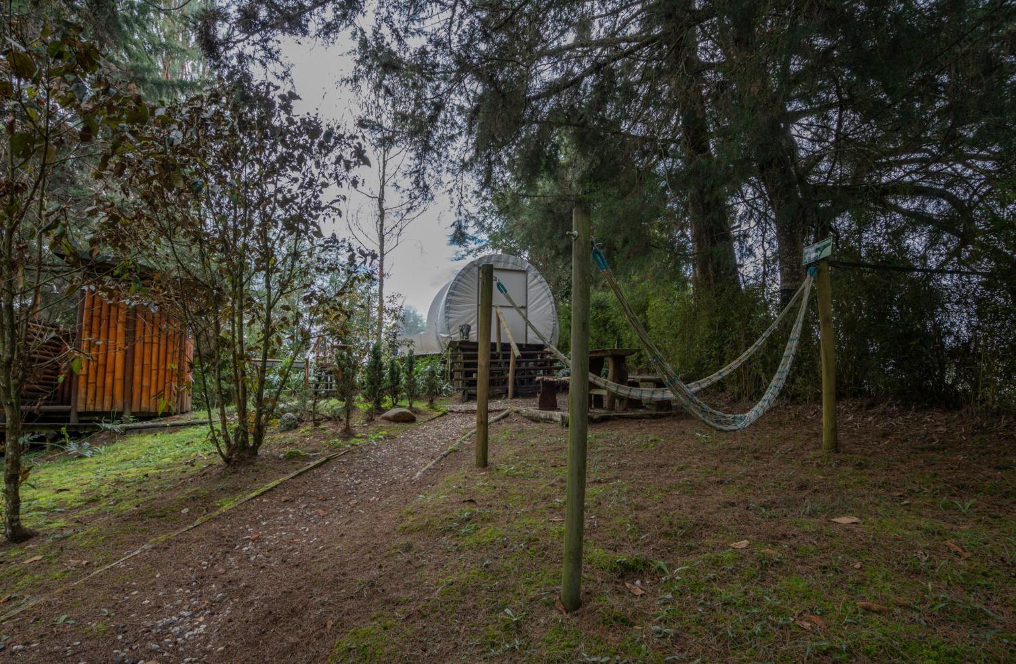 BubbleSky Glamping 40 min from Medellin - Property Image 23