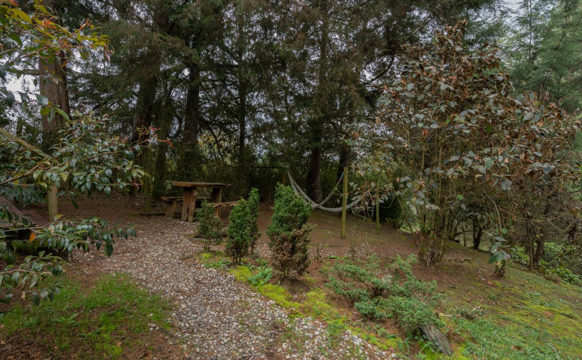 BubbleSky Glamping 40 min from Medellin - Property Image 22