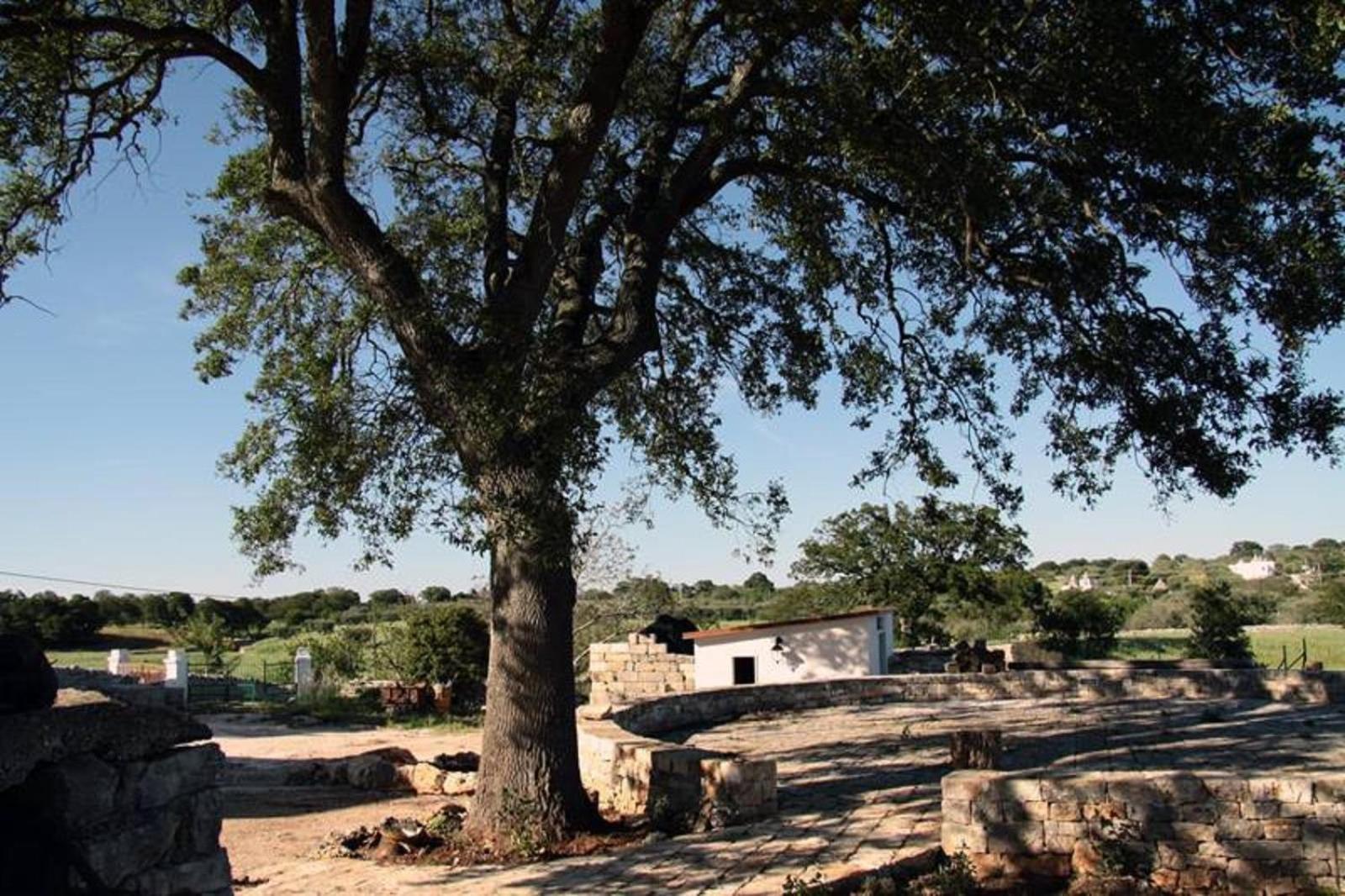 Masseria Catucci Agriturismo