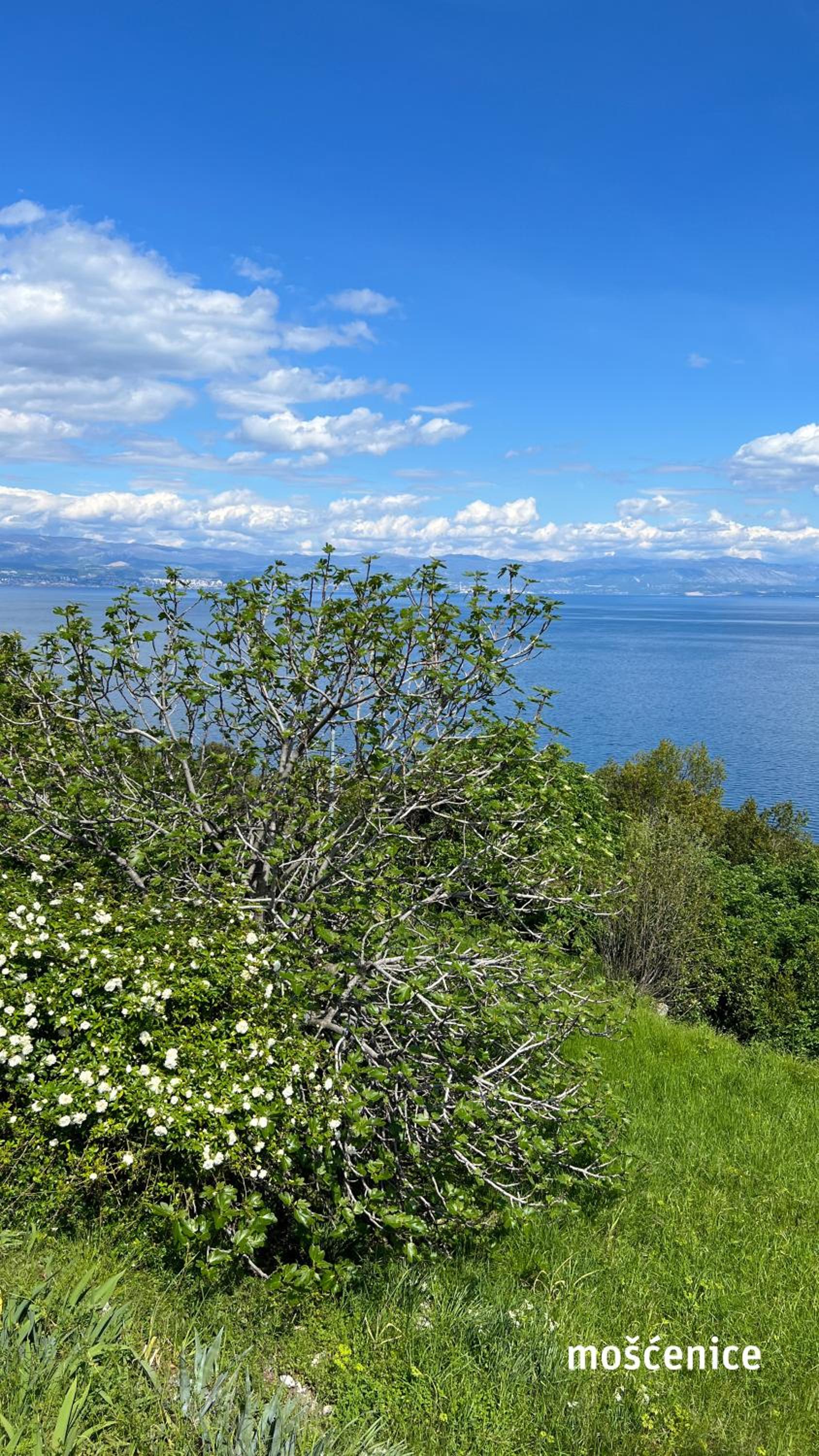 seaview apartments croatia – ENA