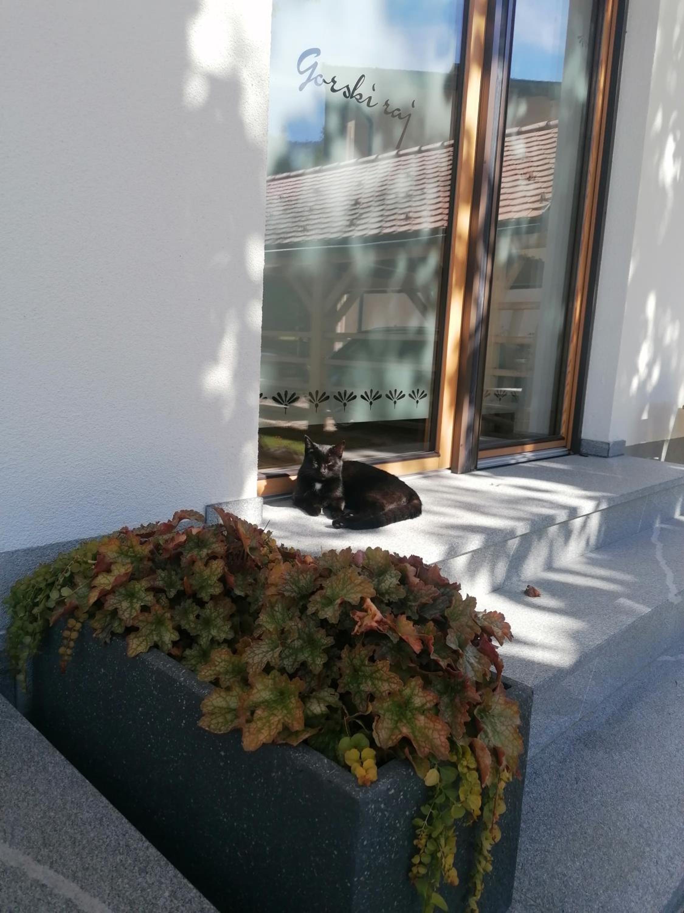Photo 11