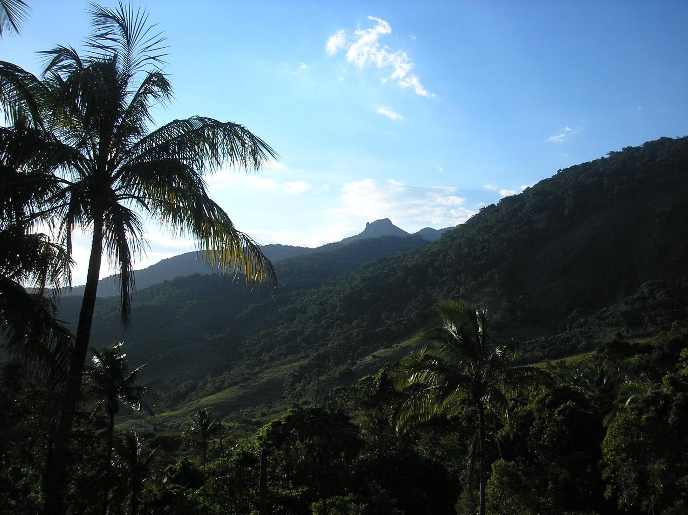 Photo 44