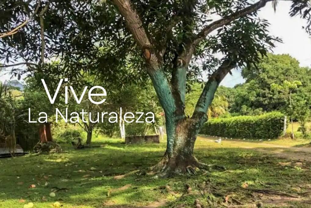 Casa finca vacacional con piscina disponible para eventos fiestas y pasa dias