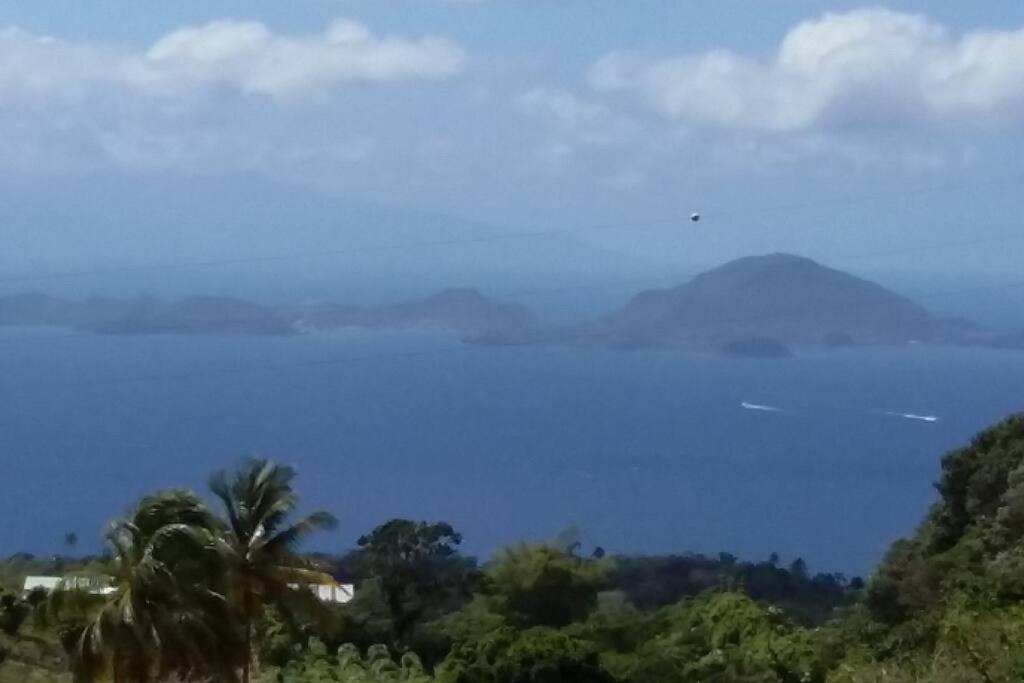 Tamana Guadeloupe