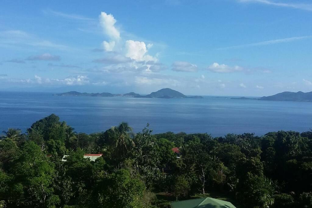 Tamana Guadeloupe