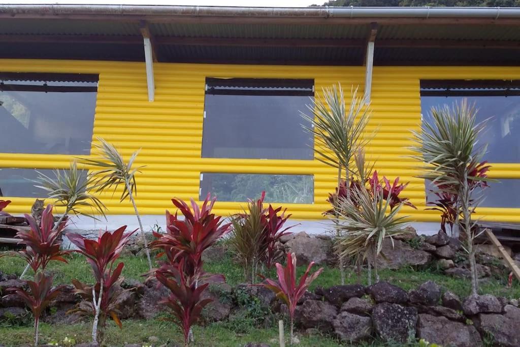 Tamana Guadeloupe