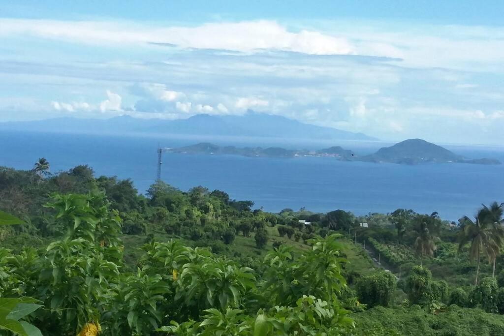 Tamana Guadeloupe