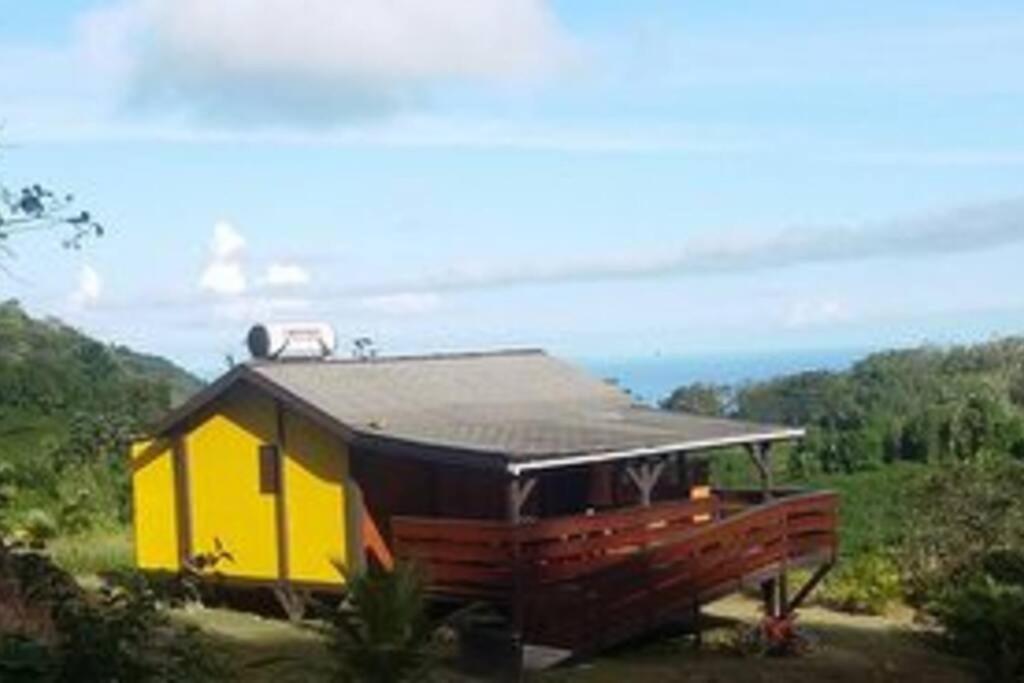 Tamana Guadeloupe