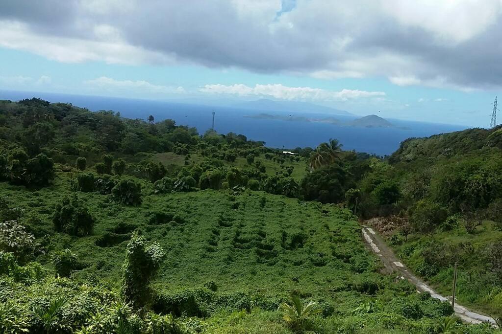 Tamana Guadeloupe