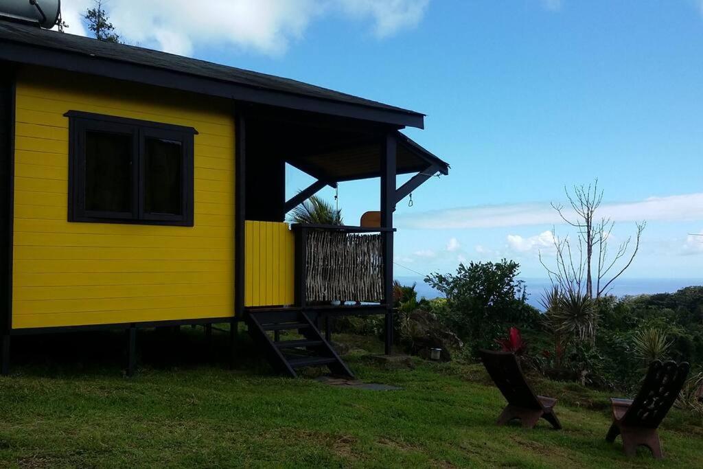 Tamana Guadeloupe