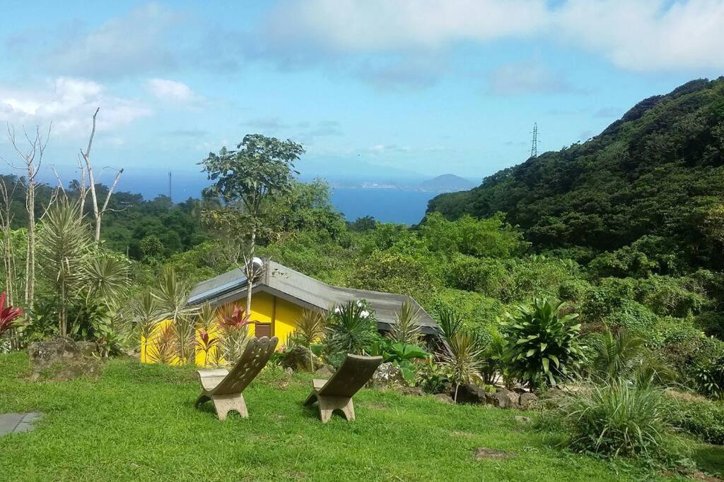 Tamana Guadeloupe