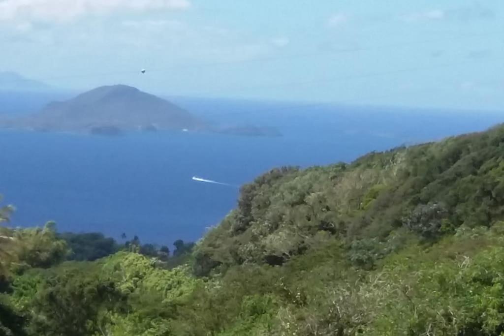 Tamana Guadeloupe